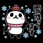 ぶなんなパンダ／お天気