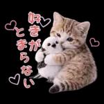 仲良し♡シマエナガと子猫ちゃん