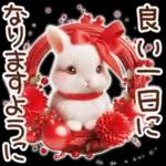 Healing Rabbit Winter