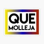 QUE MOLLEJA