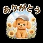 トイプードルの夏と梅雨のお天気カフェ