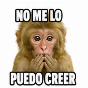 NO ME LO PUEDO CREER - getsticker.com
