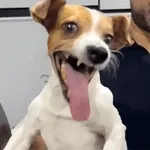 SIUUUU