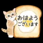 ふんわり可愛い☆猫たちのスタンプ