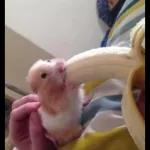 QUIERO HACER EL AMOR CONTIGO