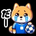 サッカー大好きな柴犬