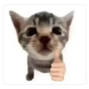 5pjfprf