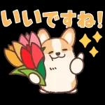 Pop-Up! Corgi's Spring Reply Sticker