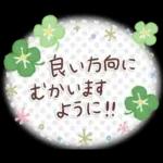 大人可愛い❤️シンプルキャラなし❤️