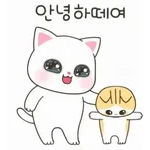 귀여운 새끼 고양이