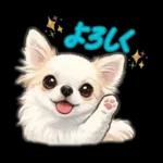 ブラン&プティ第2弾♡