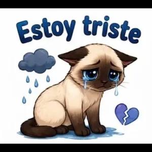 Estoy triste - getsticker.com