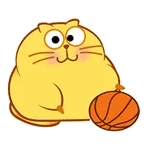 서비스 이용에 필요한 확인 절차✅