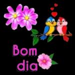 bom dia kkkkk