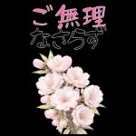 もふ屋画♪チップとデール