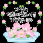 가정의 달 꽃 선물