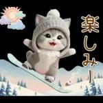 スコティッシュ猫 可愛いグレーニット 冬