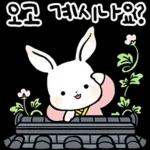 명절 토끼 인사드려요