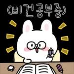 채식하는 토끼,비건이