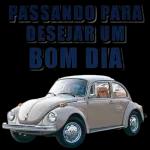 Meme Brasileiro 12093