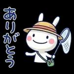 毎日使える夏☆ほぼ白うさぎ