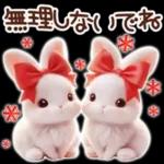 Healing Rabbit Winter