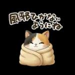 三毛猫の冬のあいさつ