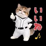 野球をする猫