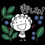 北欧かわいい♡くるリボン