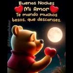 Buenas Noches Mi Amor Te mando muchos besos, que descanses.