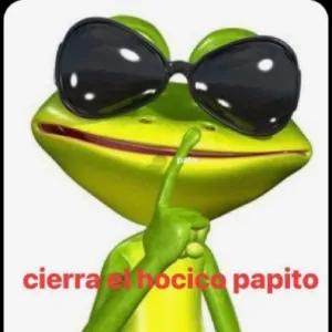 pato cierra el hocico papito - getsticker.com