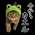 キジトラ猫飼いさんのダジャレ