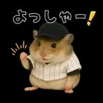 【新】リアル野球ハムスター