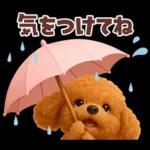 【3D】毎日使える挨拶♡トイプードル