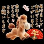 午年2026年！プードルとうまの年末年始