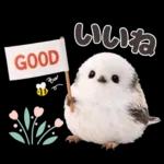 とってもかわいい♡シマエナガちゃん