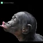 Usted es mas complicada que hacer un asado con carne molida