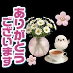 ふんわり3D女子の春・梅雨・初夏