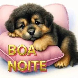 BOA NOITE - getsticker.com
