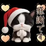 可愛いハチワレ猫 サンタ帽 冬 気づかい
