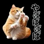 生成失敗猫【毒舌・煽り・煽る・シュール】