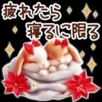 Healing Rabbit Winter