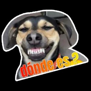 dónde es? - getsticker.com