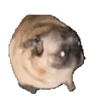 이대로 놓칠 건가요?