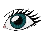 오늘의 이슈 종목은?