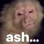 embeces la bida no es como keremos