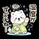 スタンプ・雨の日サモエド