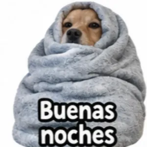 Buenas noches - getsticker.com