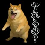 ガンギマリの柴犬＠エロ・日常会話