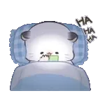 四毛與八毛 軟萌萌的小日常11